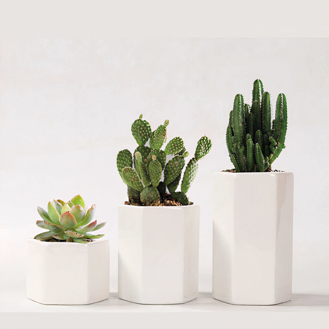 Hexagonal Ceramic Planter Set of 3 with Bamboo Tray — Modern Indoor Succulent Pot Home Office Desk Decor
