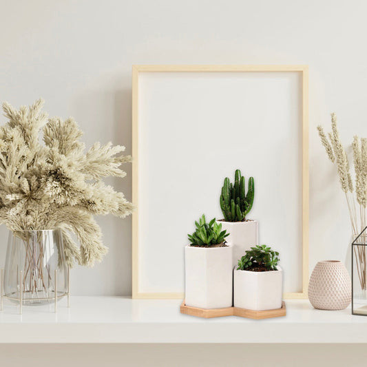 Hexagonal Ceramic Planter Set of 3 with Bamboo Tray — Modern Indoor Succulent Pot Home Office Desk Decor